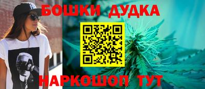 стаф Кандалакша