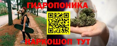 стаф Кандалакша
