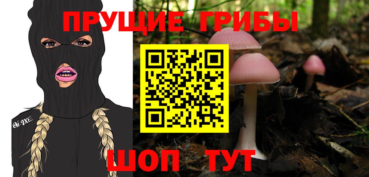 Псилоцибиновые грибы мухоморы  Галлюциногенные грибы Magic Shrooms  Камень-на-Оби  Вход с VPN 